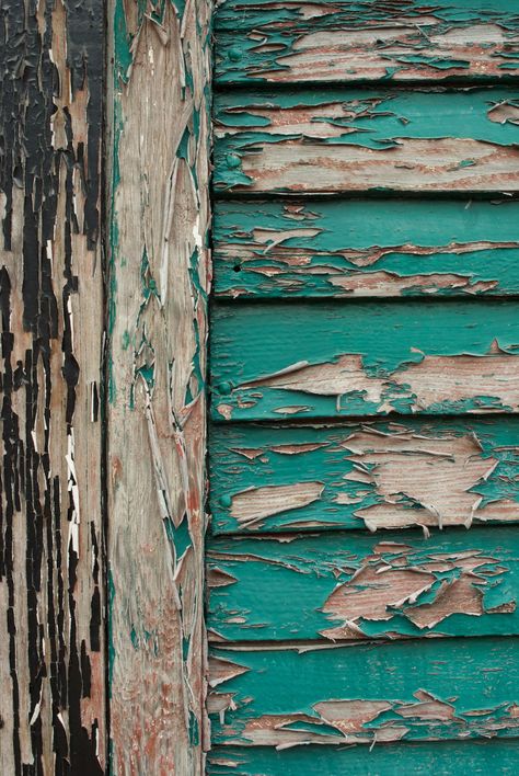 Peeling Paint Beautiful Decay, Texture Inspiration, Wooden Texture, Peeling Paint, Old Wall, Distressed Painting, Photography Projects, Built Environment, Patterns In Nature