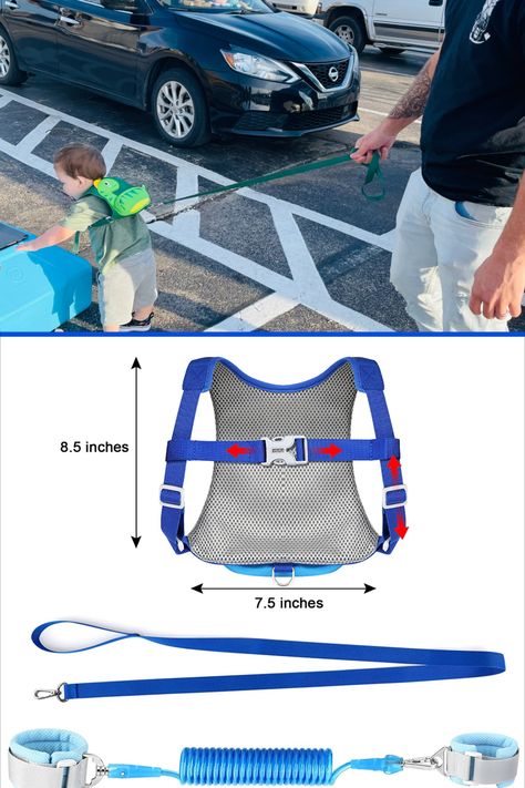 Toddler Harness Child Leash with Anti Lost Wrist Link, Accmor 3 in 1 Kids Dinosaur Harnesses Leashes, Children Walking Assistant Wristband Tether Strap Belt for Baby Boys Girls (Blue) Dinosaur Kids, Scooters, Educational Toys, Boy Or Girl, Walking, Lost, Toys