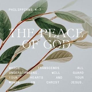 The Peace Of God, Philippians 4 7, Peace Of God, The Peace, Bible App, The Bible, Bible, Jesus