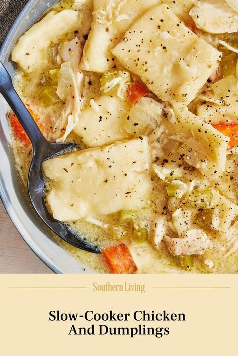 These slow-cooker chicken and dumplings are so easy to make and can cook on high or low. The end result is a bowlful of comfort food for any season. Get the recipe at the link. #slowcookerrecipes #chickenrecipes #chickenanddumplings #recipeideas #recipes #southernliving Slow Cooker Drop Dinners, Chicken And Dumplings Slowcooker, Slow Cooker Chicken And Dumplings Recipe, Crockpot Chicken And Dumplings Homemade, Chicken And Dumplings Crockpot Easy, Chicken And Dumplings Crockpot Recipes, Easy Chicken And Dumplings Crockpot, Chicken And Dumplings Crockpot, Chicken And Dumplings Southern