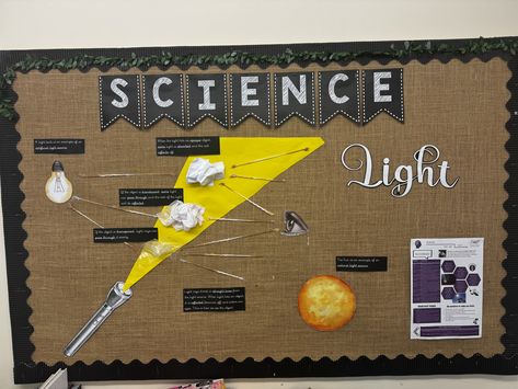 KS2 science display light Ks2 Science, Science Display, School Displays, Year 3, Light Display, Science