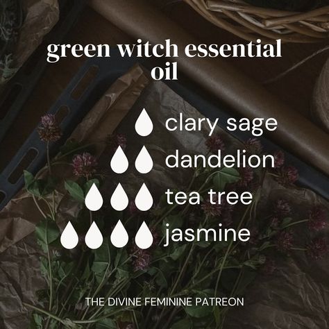 🌿🐈‍⬛✨🌙 Essential Oil Blends inspired by the witches Some blends l’ve created that you can use for aromatherapy! Some ways you can use essential oils are in… diffusers, for creating oils, adding in lotions or directly onto pulse points with caution, etc! I’ve posted lots of essential oils over on Patreon so definitely get check them out! ✨🌙 🍂🍁 Shop our metaphysical shop through the link in bio #aromatherapy #witch #witchy #essentialoils #witchtok #witchcraft #pagan #witchesoftiktok #greenwi... Essential Oil Witch Blends, Harry Potter Essential Oil Blends, Essential Oils Witchcraft, Oils Witchcraft, Witchy Ideas, Joy Essential Oil, Wild Witch, Perfume Blends, Essential Oils Perfume