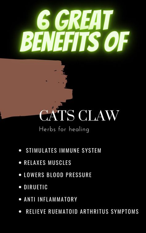 6 great benefits of cats claw text, bullet points, cats claw picture, black background Cats Claw Benefits Health, Devils Claw Benefits, Cats Claw Benefits, Herbs For Healing, Cats Claw, Woman's Health, Health Herbs, Herbal Tea Benefits, Great Health