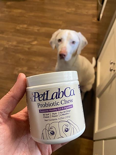 AMERICA'S #1 SELLING PROBIOTIC FOR DOGS: PetLab Co.’s premium quality dog probiotics were the top-selling dog health supplement on Amazon in 2022. And owners across America are loving the benefits Probiotic For Dogs, Dog Probiotics, Animal Humor Dog, Puppy Sketch, Dog Training Treats, Chic Bedding, Training Treats, Training Your Puppy, Healthy Gut