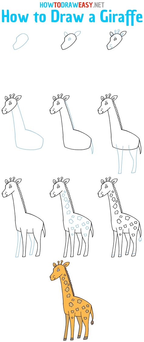 How to Draw a Giraffe Step by Step #Giraffe #GiraffeDrawing #StepbyStepGiraffeDrawing #GiraffeHowtoDraw #DrawGiraffe #CartoonGiraffe #EasyDrawings #Sketch #DrawingTutorials Zirafah Drawing, Easy Giraffe Drawing, Giraffe For Kids, Art Steps, Zoo Drawing, Trin For Trin Tegning, Jungle Drawing, Cartoon Doodles, Giraffe Crafts