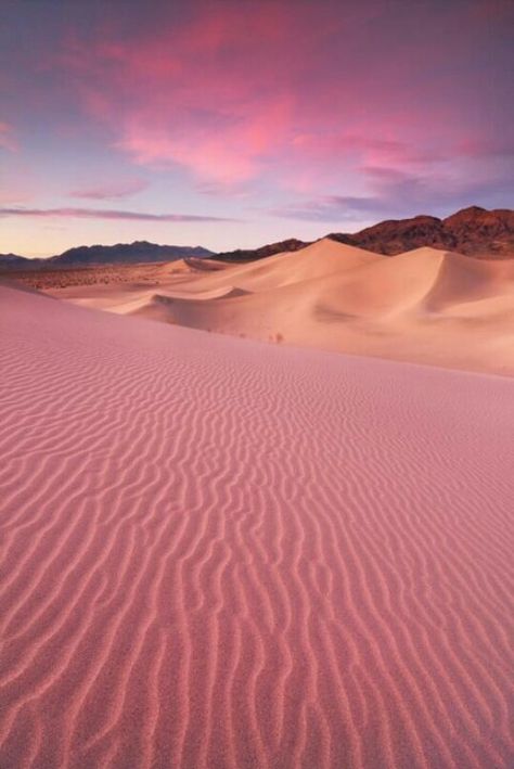 Pink desert sands وادي رم, Desert Dream, Wadi Rum, Pink Sand, Amman, Sand Dunes, Oman, The Desert, Amazing Nature