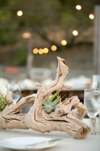 Air Plants Wedding, Succulent Wedding Table, Driftwood Wedding, Non Floral Centerpieces, Driftwood Centerpiece, Ojai Wedding, Beautiful Wedding Centerpiece, Succulent Centerpieces, Unique Wedding Flowers