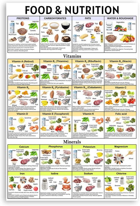 Nutrition Printables, Food Groups Chart, Food Nutrition Chart, Nutritional Plan, Healthy Eating Pyramid, Vitamin Charts, Healthy Food Art, Healthy Food Chart, Vegetable Chart