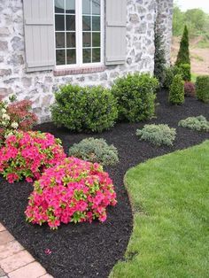 simple landscaping, we need this out front Small Front Yard Landscaping, Small Front Yard, Front Yard Design, Front Landscaping, Low Maintenance Landscaping, Garden Shrubs, Walled Garden, Landscape Designs, Have Inspiration