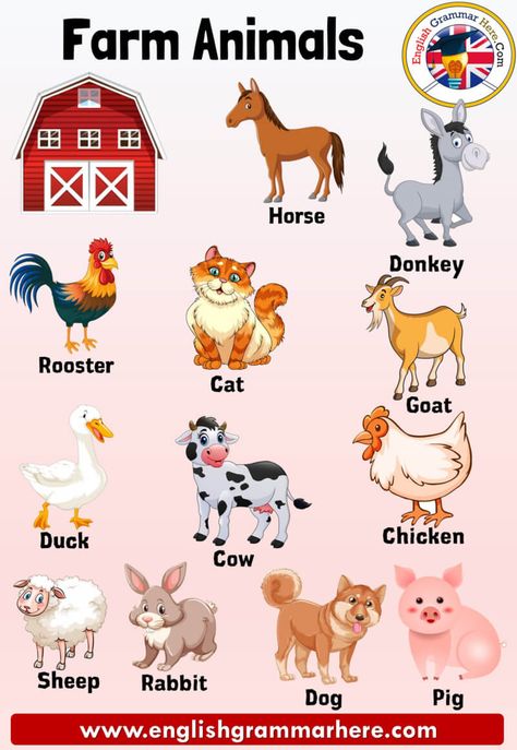 Farm Animals Names, Definition and Examples Farm Animals Farm animals are animals that feed in an environment. Livestock breeding can also be carried out to generate income, for example, from the milk of animals such as cows, goats, sheep; Hens ‘eggs and bees’ honey can benefit in this way. Such animals are mostly raised on the same farm. Some animals are raised on farms to produce products such as food and fiber. Animals Names List from A to Z Animal species are in some groups, for example; ... Farm Animals List, Animals Name With Picture, Farm Names, Animals Name List, Herbivorous Animals, Farm Animals Pictures, Animals Name In English, Animal Pictures For Kids, Farm Animals Preschool