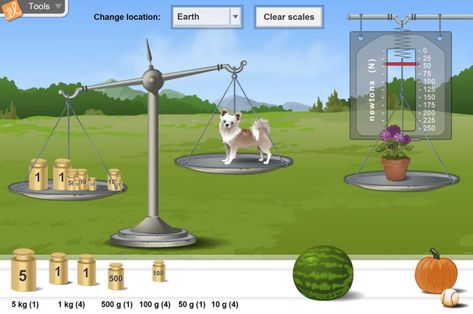 Mass And Weight Science, Mass Activities, Physical Science Middle School, Properties Of Matter, 8th Grade Science, 4th Grade Science, 5th Grade Science, Earth And Space Science, 5th Grade Math