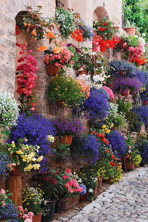 Plantas Exterior, Hanging Plants Outdoor, نباتات منزلية, Beautiful Flowers Garden, Plants And Flowers, Deco Floral, Landscape Nature, Garden Cottage, Umbria