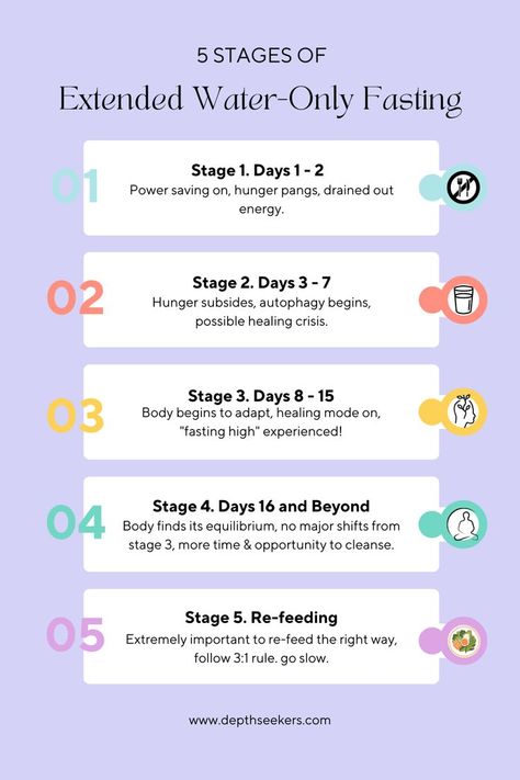 The 5 Stages of Extended Water Fasting Fasting Diet Plan, Best Fat Burning Foods, Healing Waters, Best Diet Plan, Fasting Diet, Detox Your Body, Lose 50 Pounds, Intermittent Fasting, To Learn