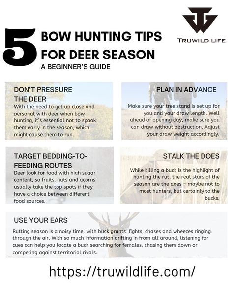 5 BOW HUNTING TIPS FOR #deerseason ✅A BEGINNER’S GUIDE . . . #bowhuntinglife #deerhunting #deerhuntingseason #huntingwisconsin #truwildlife #tidewe #huntingtips Bow Hunting Tips, Deer Hunting Season, Deer Hunting Tips, Deer Meat, Deer Season, Bowhunting, Hunting Tips, Country Stuff, Bow Hunting