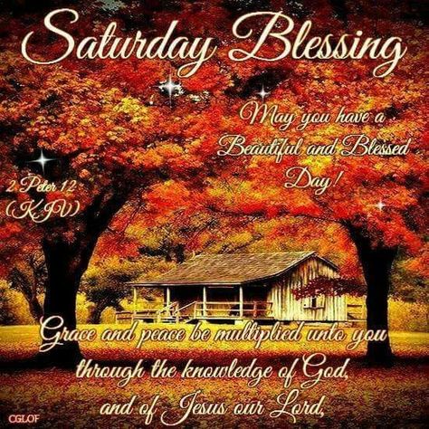 Saturday Blessings good morning saturday saturday quotes happy saturday good morning saturday Nightly Prayer, Blessed Sunday Morning, Blessed Monday, Saturday Greetings, Saturday Blessings, Saturday Images, Sunday Greetings, Good Morning Happy Saturday, Sunday Blessings