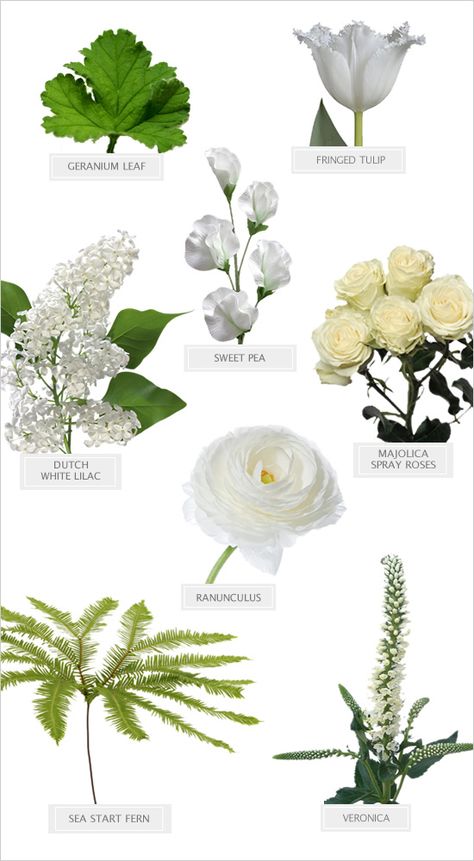 Winter White Bouquet Recipe #diy #bouquetrecipe #weddingchicks http://www.weddingchicks.com/2014/03/28/winter-white-bouquet-recipe/ Trendy Bouquet, Bouquet Recipes, Flower Recipe, Thistle Bouquet, Bouquet Recipe, Flower Chart, Flower Types, Spanish Garden, Earthy Wedding