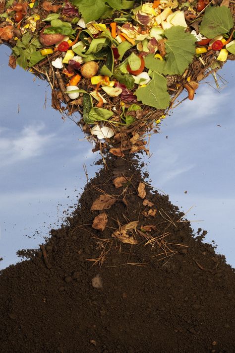 Compost Soil, Farm Plans, Organic Compost, Fertilizer For Plants, Garden Images, Organic Fertilizer, Composting, Potting Soil, Food Waste