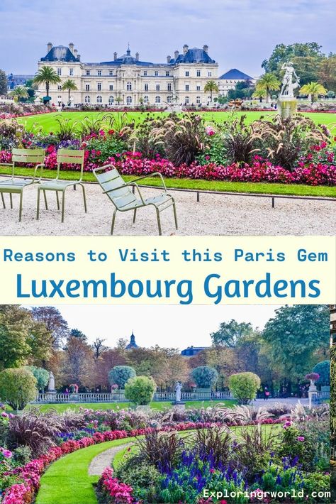 Luxembourg Gardens in Paris is a palace, pond, flowers, paths to walk and run, and sculptures. #LuxembourgGardens #Paris #LatinQuarter Europe Planning, Paris Parks, Paris Gardens, Pond Flowers, Gardens In Paris, Paris Garden, Paris Sightseeing, Small Statue, Paris Landmarks