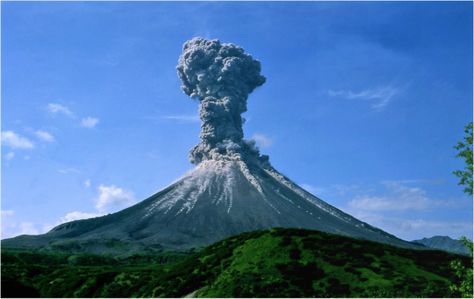 A new study shows how large volcanic eruptions cool tropical Africa, spawning El Niño events. Intermittent Explosive Disorder, Volcano Projects, Mount Pinatubo, Shield Volcano, Scanning Electron Microscope, Erupting Volcano, Rain And Thunder, Volcanic Ash, Crazy Facts