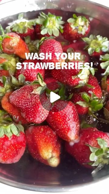 112K views · 3.1K likes | Aqsa Ali on Instagram: "Some people wash with vinegar, or salt or baking soda. Whatever method you use make sure to wash the strawberries properly.  I added 1tsp of baking soda to 1ltr water and soaked them for 15mins. Then I rinsed them with water, dried them and kept them in an air tight box in the fridge.  Also raise your hand if you’ve ever washed the strawberries like I did🤣  [wash strawberries strawberries strawberry how to wash strawberries hack]  #hacks #cleaninghack #howtowashstrawberries #hack #kitchenhacks #kitchen #vegetables #fruit #washfruit #fruits #seasonalfruits" Strawberry Cleaning Hack, Washing Strawberries, Strawberry Wash, How To Wash Strawberries, Wash Strawberries, Raise Your Hand If, Raise Your Hand, Fruit In Season, Apple Cider Vinegar