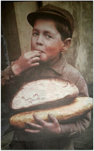 Polymer Project, Savoury Biscuits, Healthy Products, Bread Baker, Food Drink Photography, Best Food Ever, Our Daily Bread, Dishonored, Bakery Bread