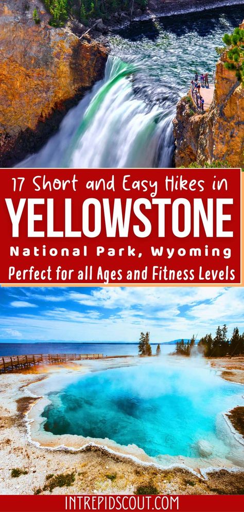 Short and Easy Hikes in Yellowstone Best Yellowstone Hikes, Yellowstone Hikes, Yellowstone National Park Vacation, Wyoming Vacation, Yellowstone Vacation, Lamar Valley, Yellowstone Trip, Visit Yellowstone, West Yellowstone