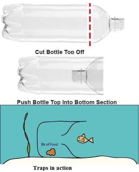 Trap fish bottle plastic Fish Bottle, Fish Trap, Bushcraft Gear, Survival Skills Life Hacks, Bass Fishing Lures, Forest Adventure, Survival Life Hacks, Apocalypse Survival, Fishing Diy