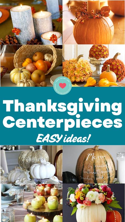 Looking to impress your guests this Thanksgiving with stunning centerpieces that won't break the bank? Check out these easy, DIY ideas for Thanksgiving centerpieces. Whether you prefer fresh flowers or a more simple table setting, we've got you covered with creative and beautiful options. Elevate your holiday decor with these budget-friendly and elegant Thanksgiving centerpiece ideas that will surely add a festive touch to your table. Get inspired and create a memorable dining experience for you Simple Floral Arrangements, Diy Thanksgiving Centerpieces, Thanksgiving Centerpieces Diy, Easy Diy Ideas, Simple Table Settings, Skip To My Lou, Diy Thanksgiving, Thanksgiving Centerpieces, Easy Thanksgiving