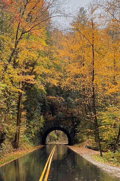 Autumn In Tennessee, Gatlinburg Tennessee Photography, Pictures Of Tennessee, Franklin Tennessee Photography, Nashville Tennessee Fall, Fall In East Tennessee, Gatlinburg Tennessee Pictures, Tennessee Mountains Aesthetic, Cades Cove Tennessee Photography