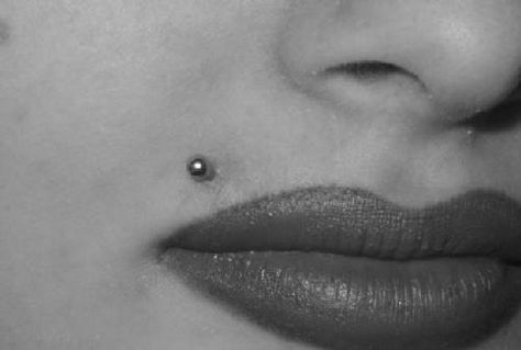 Monroe stud... Piercing Facial, Different Types Of Piercings, Facial Piercing, Upper Lip Piercing, Piercing Face, Monroe Piercing, Men's Piercings, Piercing Chart, Septum Piercing Jewelry