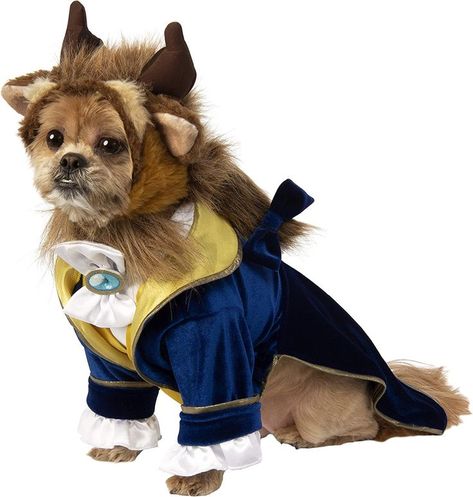 Product details Color Beast Size L (Neck: 18", Girth: 23", Back: 22") Brand Rubie's Fabric Type 100% Polyester Breed Recommendation Large Breeds Age Range Description All Life Stages Officially licensed beauty & the Beast pet costume, look for Disney and Rubie's trademark on label and packaging to help assure you've received authentic safety-tested item Beast headpiece, suit jacket with attached shirt, tie, and pants for pets #affiliate As an Amazon Affiliate I earn commisions on product sales. Disney Dog Costume, Beauty And The Beast Costume, Beauty And The Beast Theme, Beast Costume, Beauty And The Beast Party, Disney Halloween Costumes, Pet Halloween Costumes, Disney Dogs, Dog Halloween Costumes