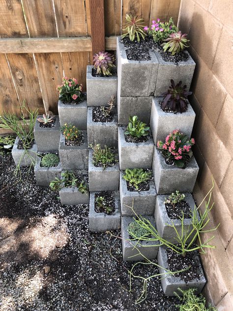 Add Height To Garden, Cinder Block Garden Wall, Succulent Garden Landscape, Simple Front Yard Landscaping, Simple Front Yard, Cinder Block Garden, Succulent Garden Design, Rock Garden Design, Vegetable Garden Diy