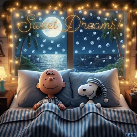 Good Night Snoopy, Sweet Dreams Gif, Funny Good Night Pictures, Snoopy New Year, Goodnight Snoopy, Good Morning Snoopy, Woodstock Snoopy, Snoopy Cartoon, Snoopy Funny