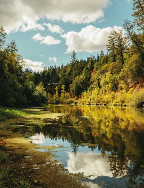 River Valley, Russian River, Russian River California, Valley River, Russian River Valley, Pattern Photography, East Of Eden, Small Town Romance, House In Nature