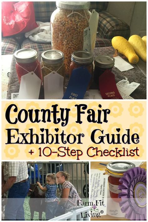 4h Exhibit Ideas, County Fair Exhibit Ideas, County Fair Projects Ideas, 4 H Fair Projects, 4h Project Ideas For Fair, 4 H Project Ideas, County Fair Crafts, County Fair Projects, County Fair Theme