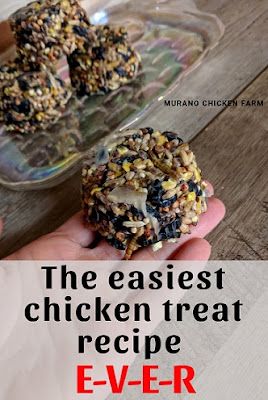 Suet Cakes, Chicken Toys, Chicken Feeders, Backyard Chicken Farming, Chicken Health, Chicken Run, Chicken Treats, Best Chicken Coop, Raising Backyard Chickens