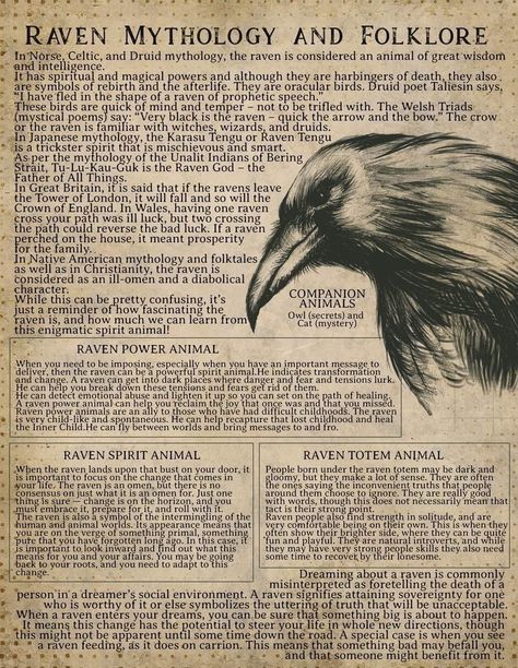 Raven Vs Crow, Greek Mythology Quotes, Crow Facts, Raven Wallpaper, Crow Totem, Celtic Signs, Philippine Mythology, Spells Magic, Raven And Wolf