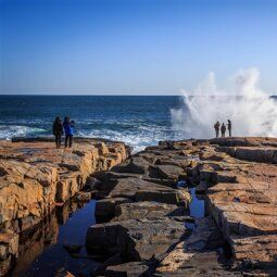 Usa Pictures, Forest Ecosystem, Mount Desert Island, Hiking National Parks, Cascade Waterfall, Desert Island, Acadia National Park, Yosemite National Park, Beach Resorts