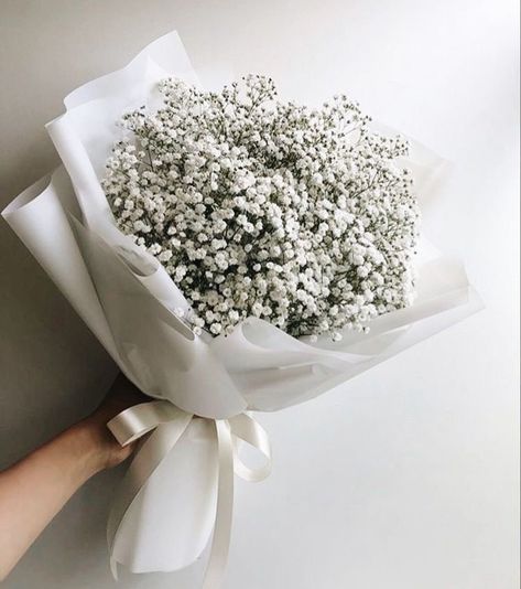 Baby's Breath, White Flowers, Flowers, White