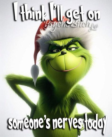 Christmas Quotes Grinch, Grinch Memes, Funny Christmas Images, Irish Jokes, Grinch Images, Grinch Quotes, Funny Day Quotes, Mr Grinch, Hug Quotes