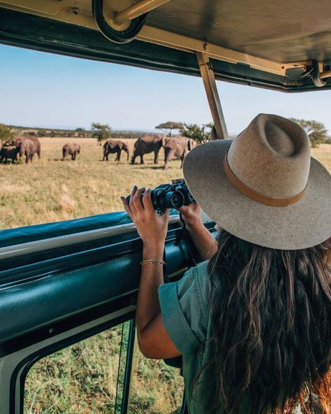 ✿ BON VIVANTS CREATIVE ✿ on Instagram: “Africa, you are pure magic 🇹🇿 It was seriously a dream to wake up every morning and go on safari game drives with @fsserengeti ✧…” Safari Pictures, 20s Life, Safari Photos, Safari Game, Safari Outfits, Hippie Cowgirl, Kenya Safari, Serengeti National Park, Vision Board Photos