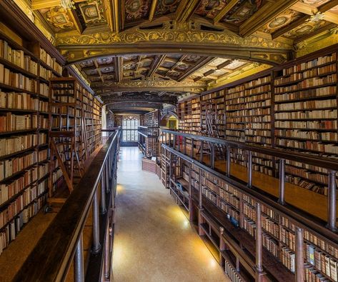 You won’t find any flying broomsticks or potions classes at the University of Oxford, but it’s a pretty close call. Remember the scene in Harry Potter and The Sorcerer’s Stone where Harry sneaks into the Hogwarts Library with a cloak of invisibility? That was filmed inside Duke Humfrey’s Library!   Of course, we can’t forget the massive room of the Christ Church’s Great Hall, whose arched windows and long tables set the scene for the houses of Gryffindor, Slytherin, Ravenclaw, and Hufflepuff. Oxford Library, Harry Potter Locations, Gutenberg Bible, Hogwarts Library, University In England, Bodleian Library, Toyo Ito, Dream Library, Beautiful Library