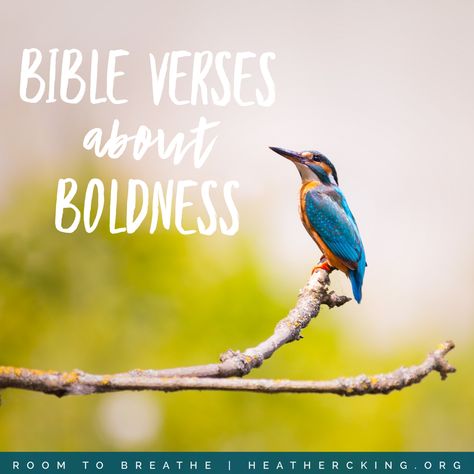 Bible Verses about Boldness Be Bold Bible Verse, Bold As A Lion, King Room, Proverbs 28, Scripture Writing, Throne Of Grace, Spirit Of Fear, Memorization, 2 Timothy