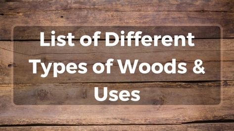 Wood is an incredibly versatile and widely used material that comes in a variety of shapes, sizes, and species. Understanding the different types of woods and their uses is essential for selecting the perfect wood for your project. In this article, we’ll take a closer look at the many different types of wood and their ... Read more Types Of Wood Furniture, Different Types Of Wood, Spoken English, English Tips, Zebra Wood, Outdoor Wood, Wood Board, Diy Wood, Diy Wood Projects