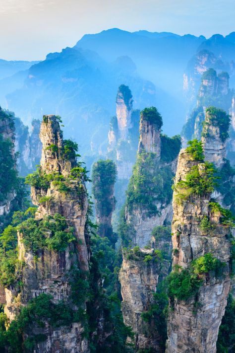 This scenic destination in China’s Hunan province is known for its 3,000 quartzite sandstone pillars. In ancient times it was considered remote and inaccessible. Apart from being one of the most beautiful natural places in the world, it is now a popular tourist spot, and the pillars are said to be similar to the floating mountains of Pandora in the film ‘Avatar‘. Where to see: Zhangjiajie National Forest Park in the Hunan Province, China Here are some beautiful natural places in the world: Zhangjiajie National Forest Park, Mountain Landscape Photography, Zhangjiajie, Places In The World, Beautiful Landscape Wallpaper, Forest Park, Beautiful Places Nature, Tourist Spots, China Travel