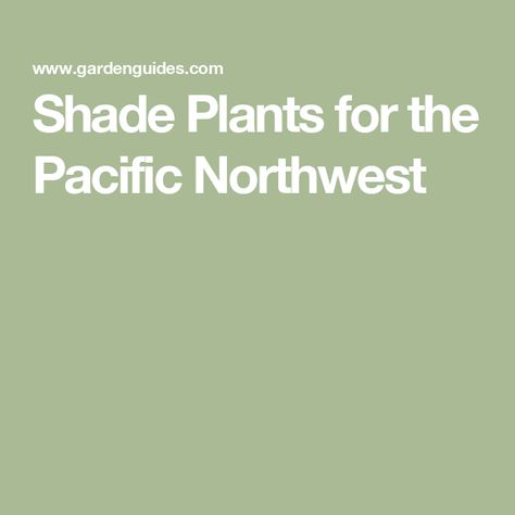 Shade Plants for the Pacific Northwest Pacific Northwest Native Plants, Pacific Northwest Landscaping, Northwest Native Plants, Northwest Landscaping, Shade Plants, The Pacific Northwest, Shade Garden, Native Plants, The Pacific