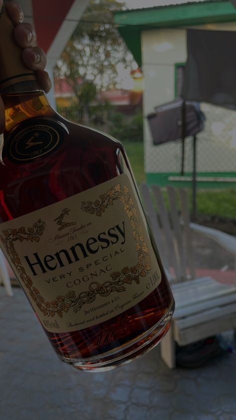 Hennessey Aesthetic, 42 Dugg, Swag Aesthetic, Chilling Vibes, Hennessy Bottle, Fake Pics, Snap Streaks, Pretty Alcoholic Drinks, Mood With Bae