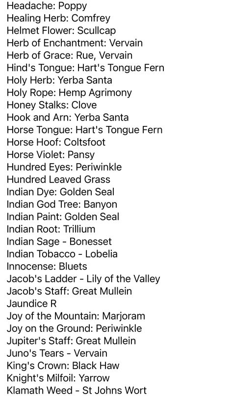 Folk Names For Herbs, Witch Ingredient List, Potion Aesthetic, Herbs Witch, Witch Names, Magickal Herbs, Witch Herbs, Witch Spirituality, Grimoire Book