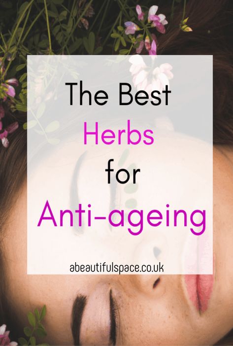 th ebest herbs for anti-ageing, a look at the 7 best herbs to help you look youthrful and the healing properties they contain #herbs #beautyhacks #anti-ageingproducts, #herbalbeauty Anti Aging Herbs, Anti Aging Remedies, Antiaging Skincare Routine, Slow Aging, Herbal Drinks, Anti Aging Secrets, Reverse Aging, Natural Anti Aging, Herbs For Health