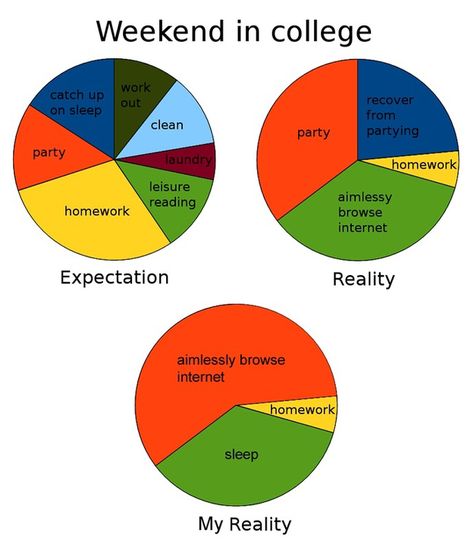 Every weekend: | College Explained Perfectly In Pie Charts Funny Pie Charts, College Funny, Party Quotes Funny, College Problems, College Homework, Pie Charts, Expectation Reality, Photos Funny, Teaching Biology